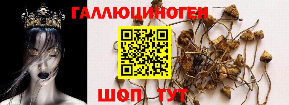 Псилоцибиновые грибы прущие грибы Ирбит